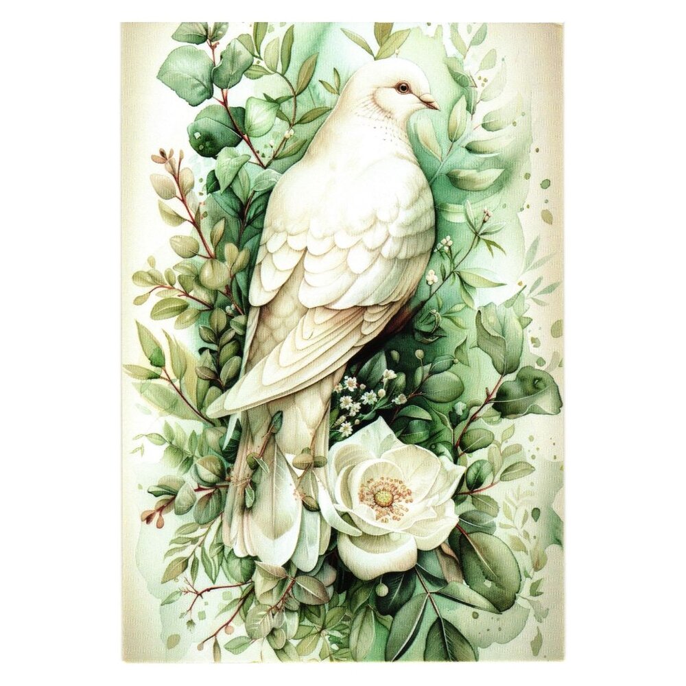 White Dove Botanical Print Art Greenery Flowers Nature Illustration Postcard